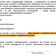 Formularz do badań wstępnych do pracy. Wpisano: praca siedząca, praca przy komputerze.