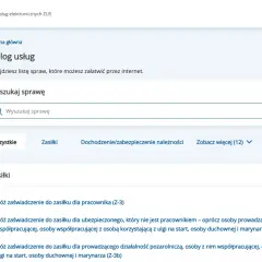 Katalog usług ZUS. Wyszukaj sprawę, np. "zasiłki". Tu znajdziesz listę spraw do załatwienia przez internet.