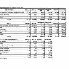 Analityczny rachunek zysków i strat z podziałem na przychody, koszty i wyniki przedsiębiorstwa.