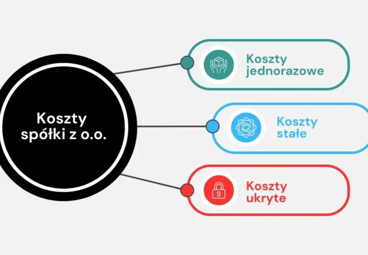 Schemat przedstawia koszty spółki z o.o.: jednorazowe, stałe i ukryte.