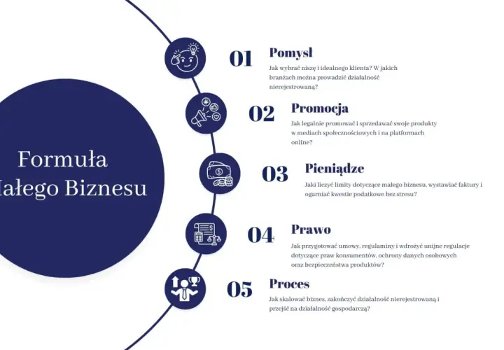 Formuła Małego Biznesu: pomysł, promocja, pieniądze, prawo i proces. Jak zacząć własną działalność gospodarczą.
