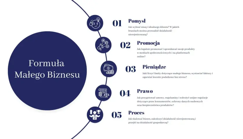 Formuła Małego Biznesu: pomysł, promocja, pieniądze, prawo i proces. Jak zacząć własną działalność gospodarczą.