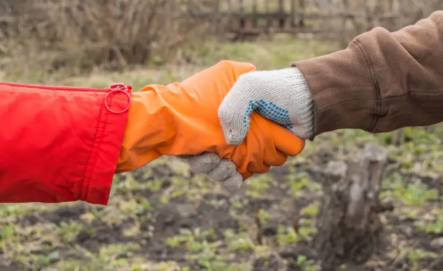 KRUS a umowa zlecenie - kiedy można dorabiać bez utraty ubezpieczenia?