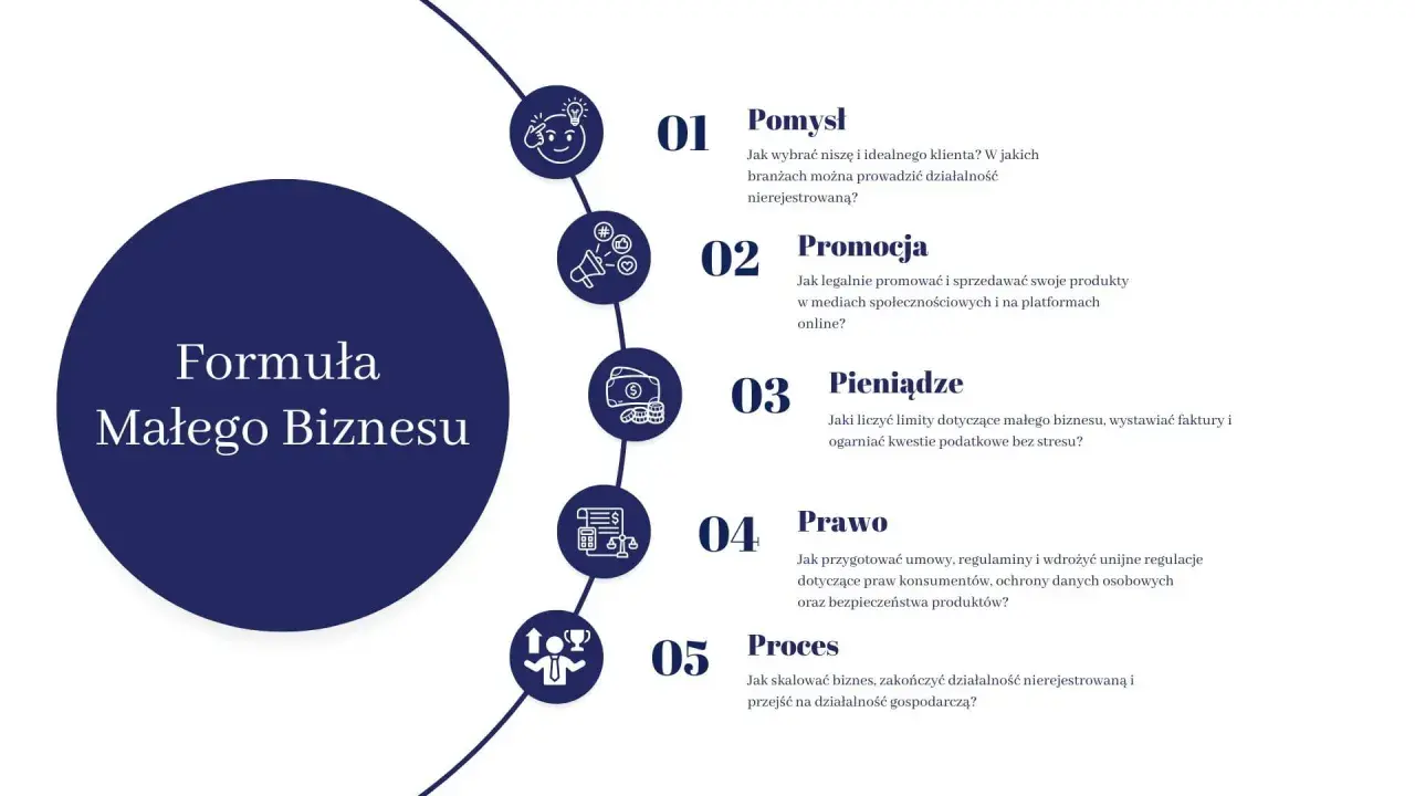 Formuła Małego Biznesu: pomysł, promocja, pieniądze, prawo i proces. Jak zacząć własną działalność gospodarczą.